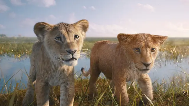 Frases do Filme Mufasa: o Rei Leão